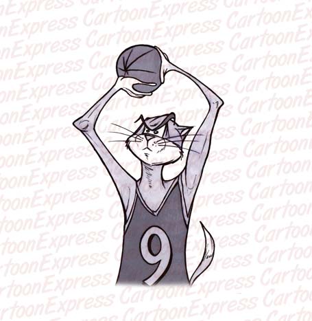 cat basketball
